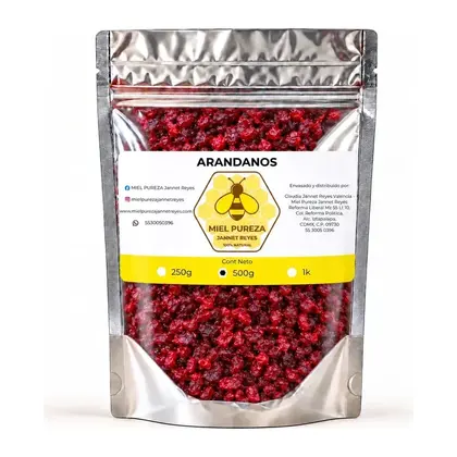 Arándano Deshidratado 500 g